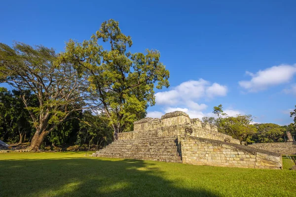 Maya Pyramide Den Kopanischen Ruinen Tempel Honduras — Stockfoto