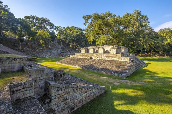 Mayojen Pyramidit Copan Rauniot Temppeleissä Honduras — kuvapankkivalokuva