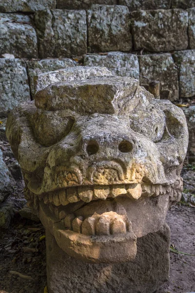 Detalle Una Figura Los Templos Copán Ruinas Honduras —  Fotos de Stock