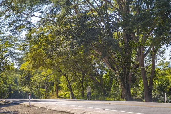 Ciclista Local Com Chapéu Estrada Copan Ruinas Honduras — Fotografia de Stock