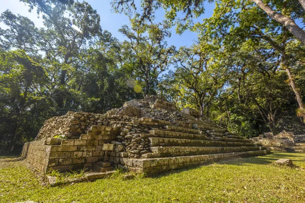 Vrouw Bij Maya Piramide Copan Ruins Tempels Honduras — Stockfoto