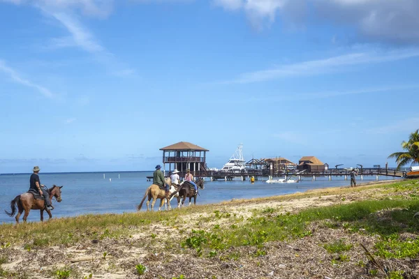 Roatan Honduras 2020 Január Lovasok Ropcial Beach Roatan Honduras Karib — Stock Fotó