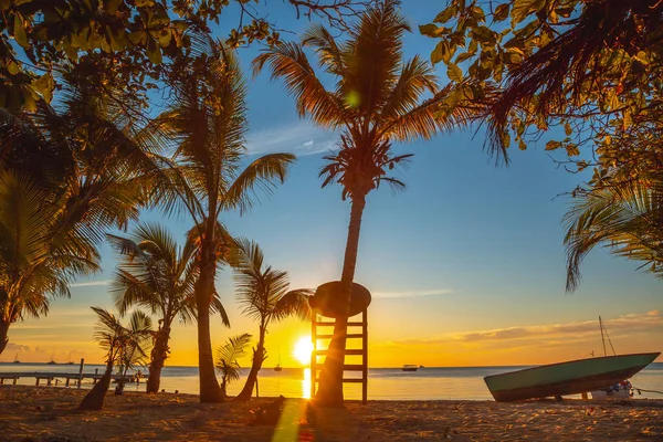 Kaunis Auringonlasku Rannalla Palmujen Kanssa — kuvapankkivalokuva