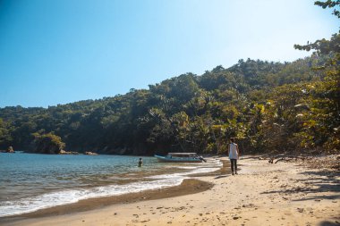 Palmiye ağaçları olan güzel tropikal plaj