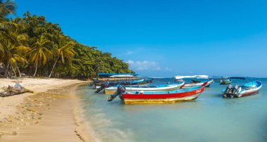 Tela, Honduras - Ocak 2020: Tela sahilinde nakliye gemileri