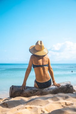 Bikinili güzel bir kız ve hasır şapkalı deniz kenarında bir kütükte oturuyor Tela, Honduras 'ta Punta Sal plajında.