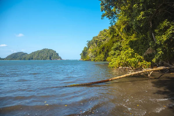 Beautiful Seascape Caribbean Sea Lush Tropical Vegetation Blue Sky — 스톡 사진