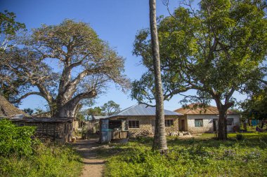 Wasini, Kenya - August 2018: village in Wasini, Kenya