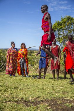 Masai Mara, Kenya - August 2018: A group of Masais explaining the Masai tradiones to a group of tourists and one of them jumping