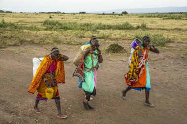 Masai Mara, Kenya - August 2018: A group of Masai women returning home after the workday
