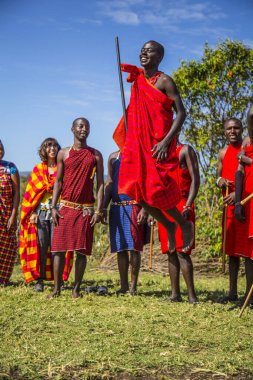 Masai Mara, Kenya - August 2018: A group of Masais explaining the Masai tradiones to a group of tourists and one of them jumping