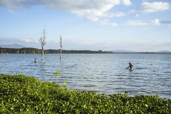 Lac Naivasha Dans Parc National Naivasha Hells Gate Kenya — Photo