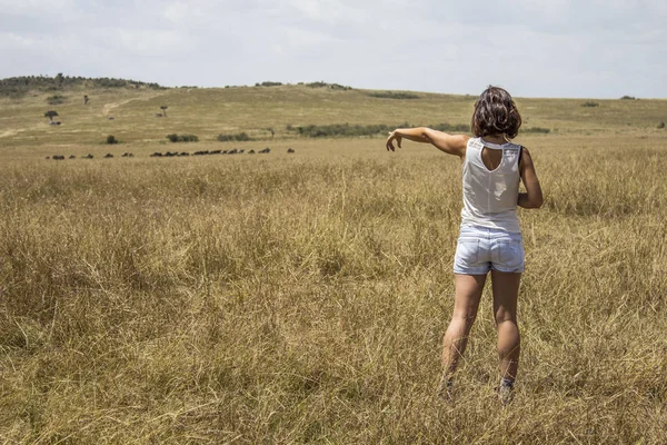 Junge Schöne Frau Einem Feld — Stockfoto