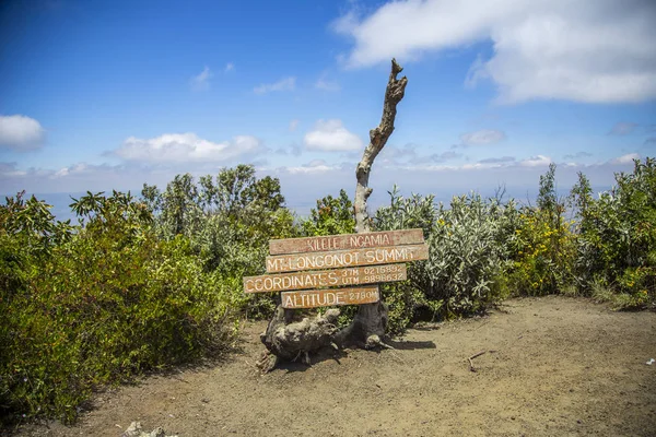 Træ Tavle Naivasha Oloongot Crater Naivasha Hells Gate Nationalpark Nær - Stock-foto