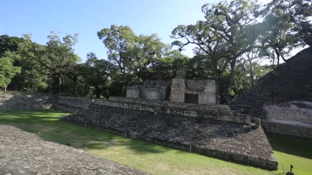 Mayan Pyramid Copan Ruins Temples Honduras — Stock Video
