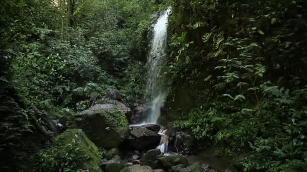 Waterfall Cerro Azul Meambar National Park Panacam Yojoa Lake Honduras — 비디오