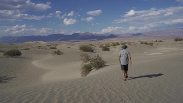 Hombre Caminando Arena Death Valley Estados Unidos — Vídeo de stock