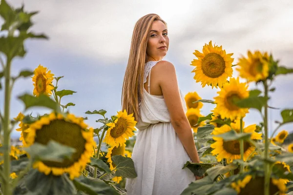 Piękna Młoda Kobieta Pozuje Polu Słonecznika — Zdjęcie stockowe