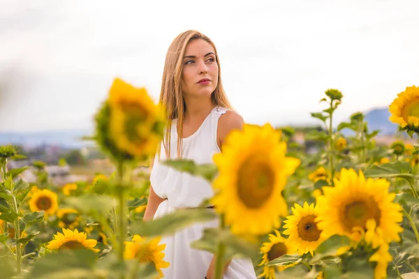 Piękna Młoda Kobieta Pozuje Polu Słonecznika — Zdjęcie stockowe