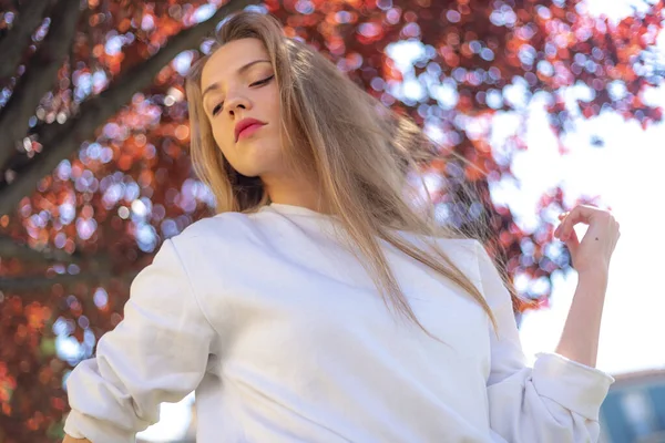 Vista Basso Angolo Elegante Giovane Donna Posa Contro Albero Rosso — Foto Stock