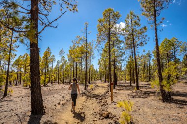 Teide de Tenerife dağındaki güzel ay manzarası. İspanya