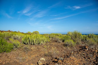 Mavi gökyüzü ile Tenerife manzarası