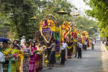 Bagan, Myanmar - 2018 Baharı: Geleneksel kostümler ve filler giyen insanların geçit töreni 