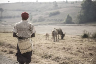 Inle Gölü, Myanmar - İlkbahar, 2018: Kırsal alandaki adamın arka görüntüsü
