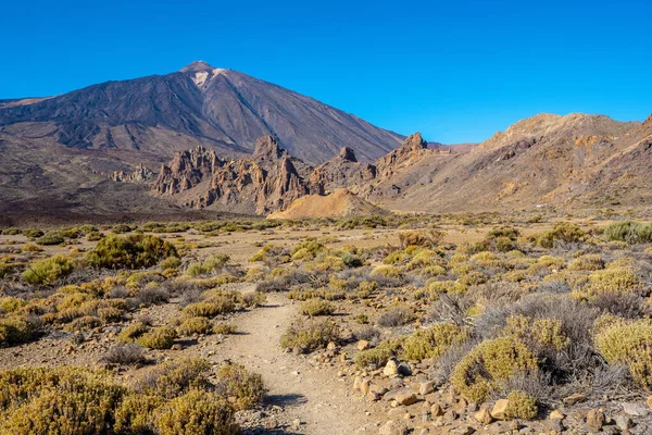 Teide Kansallispuisto Tenerife Kanariansaaret Espanja — kuvapankkivalokuva