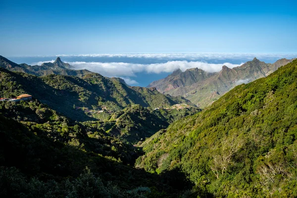 Kuvankaunis Näkymä Tenerife Anagan Kansallispuistoon — kuvapankkivalokuva