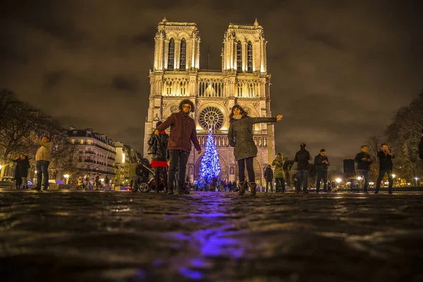 Paris France December 2018 Notre Dame Few Months Fire Detail — Stock Photo, Image