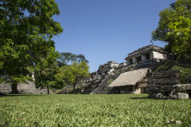 Palenque 'deki Maya harabeleri, Chiapas, Meksika 