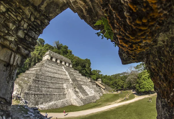 Руины Майя Паленке Чьяпас Мексика — стоковое фото