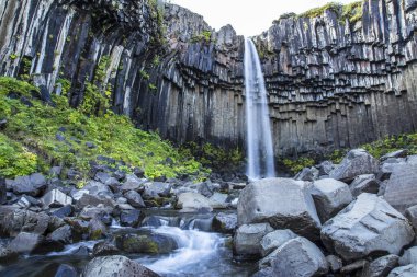 İzlanda 'daki en güzel şelalelerden biri olan svartifoss şelalesi.