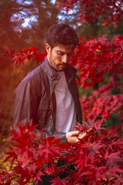 Güz parkında poz veren takım elbiseli yakışıklı genç adam.