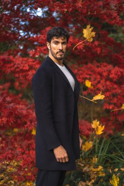 Güz parkında poz veren takım elbiseli yakışıklı genç adam.