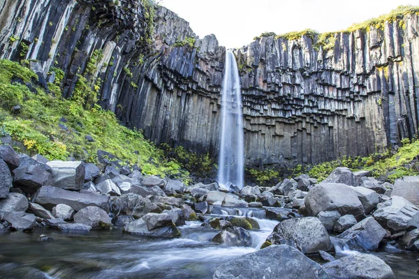 Ambiente Deslumbrante Cachoeira Svartifoss Islândia — Fotografia de Stock