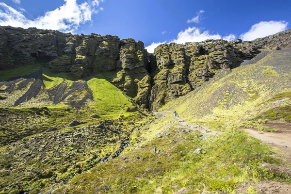 Ihanat Vihreät Snaefellsnesin Vuoret Islanti — kuvapankkivalokuva
