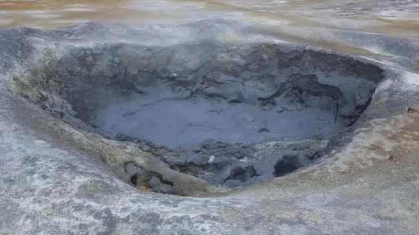 地熱地域におけるポットと水の泥水 Seltun Iceland — ストック動画