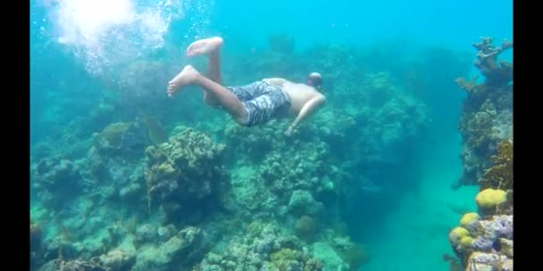 Corpo Turistas Mergulhando Praia West Bay Ilha Caribenha Roatan Honduras — Vídeo de Stock