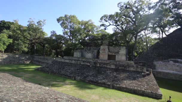 Joven Turista Caminando Por Conjunto Cabellos Los Templos Copán Ruinas — Vídeos de Stock