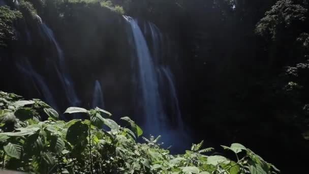 Allmän Bild Pulhapanzak Vattenfallet Vid Sjön Yojoa Honduras — Stockvideo