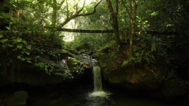 Yojoa Gölü üzerindeki Cerro Azul Meambar Ulusal Parkı 'nın (Panacam) köprülerinde ve şelalelerinde yürümektedir. Honduras