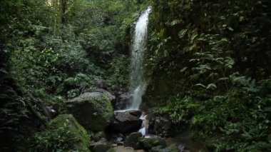 Yojoa Gölü 'ndeki Cerro Azul Meambar Ulusal Parkı' nın (Panacam) şelalesi. Honduras