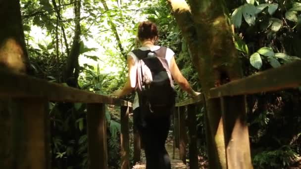 Μια Νεαρή Γυναίκα Περπατά Στην Ξύλινη Γέφυρα Του Εθνικού Πάρκου — Αρχείο Βίντεο