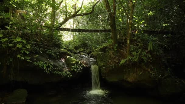 Caminando Sobre Puentes Cascadas Del Parque Nacional Cerro Azul Meambar — Vídeos de Stock