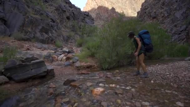 Mladá Žena Hledící Řeku Colorado Jižní Kaibabské Stezky Velkého Kaňonu — Stock video