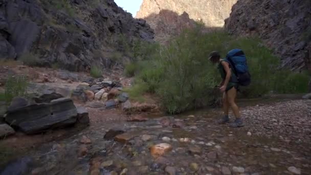 Młoda Kobieta Patrząca Rzekę Kolorado Południowego Kaibab Trailhead Wielkiego Kanionu — Wideo stockowe