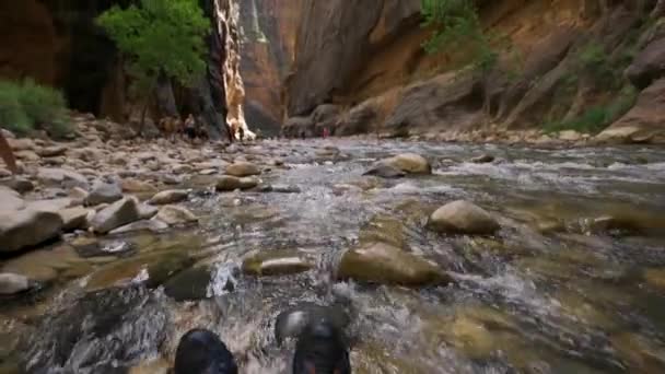 ユタ州シオン国立公園の渓谷の川の中からの詳細 アメリカ合衆国 — ストック動画