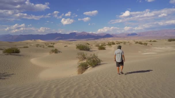 Молодой Человек Рубашке Идущий Через Пустыню Долины Смерти Калифорния Соединенные — стоковое видео